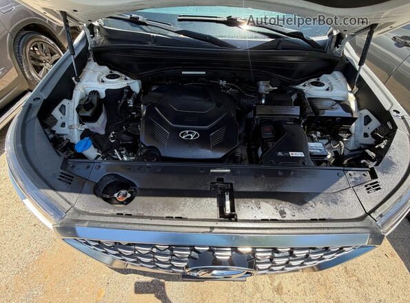 KM8R74HE8MU325029 2021 HYUNDAI PALISADE White წინა პანელის ხედი