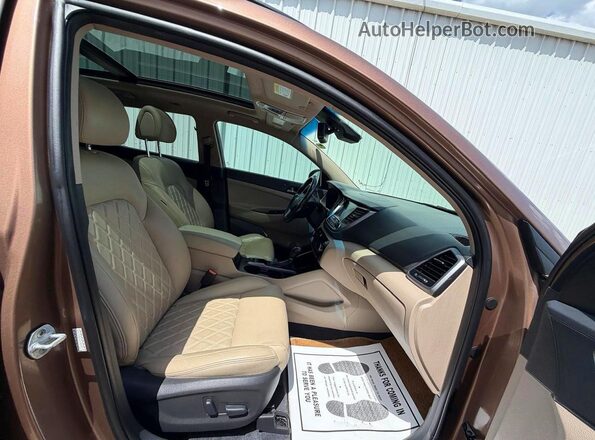 KM8J33A29GU142357 2016 HYUNDAI TUCSON Brown Widok z tyłu