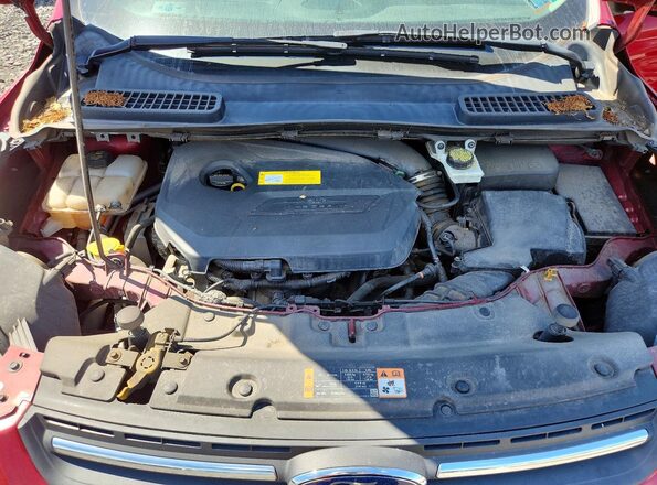 1FMCU9GXXGUA42098 2016 FORD ESCAPE Red VIN կոդի պիտակի տեսք