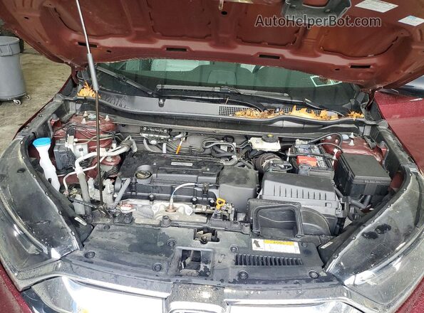 2HKRW6H38KH205529 2019 HONDA CR-V Темно-бордовый Вид наклейки с VIN-кодом