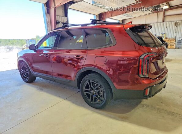 5XYP5DGC9RG455783 2024 KIA TELLURIDE Red Հետևի աջ