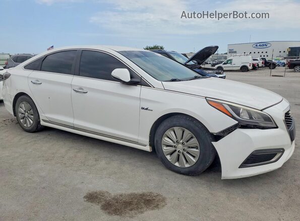 KMHE24L18GA021710 2016 HYUNDAI SONATA White წინა ხედი
