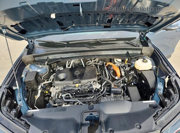 5TDACAB50RS017238 2024 TOYOTA GRAND Blue Vista de la etiqueta del VIN