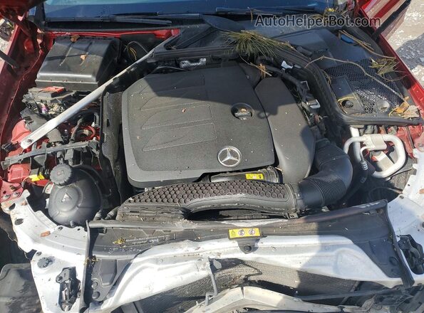 55SWF8EB0KU296495 2019 MERCEDES-BENZ C Red Սալոնի հետևի տեսք
