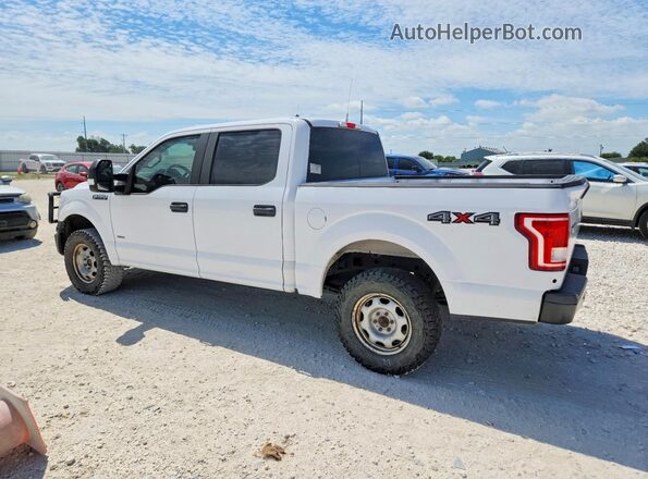1FTEW1EG4HKE40562 2017 FORD F150 White უკანა მარჯვენა