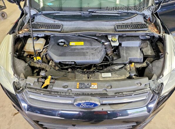 1FMCU9GX5GUA41568 2016 FORD ESCAPE Black VIN sticker view