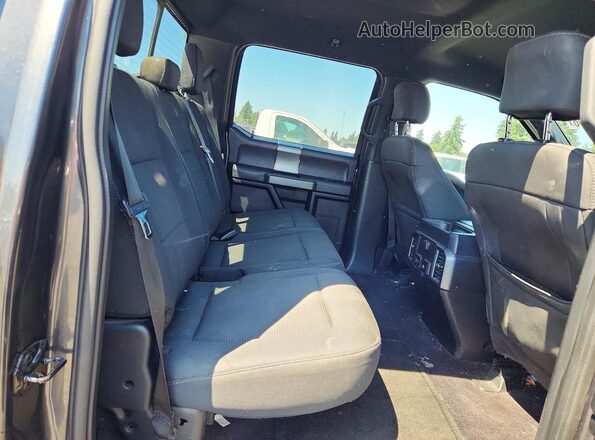 1FTEW1EG8HFA47317 2017 FORD F150 Charcoal Rear interior view