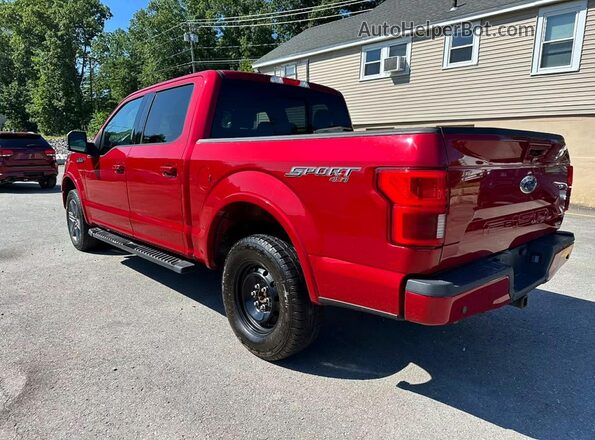1FTEW1E43LFB62888 2020 FORD F150 Red უკანა მარჯვენა