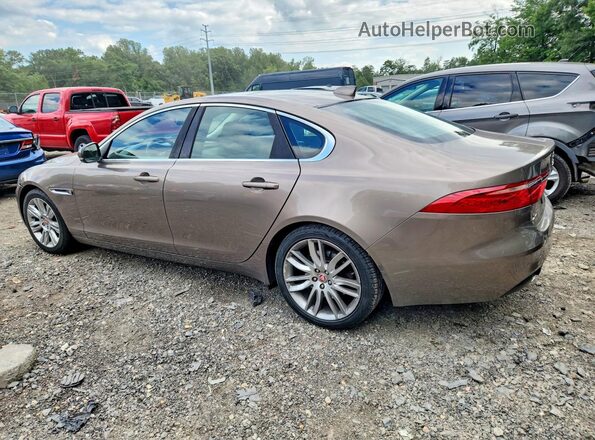 SAJBD4BV1GCY24502 2016 JAGUAR XF Brown Tył prawy