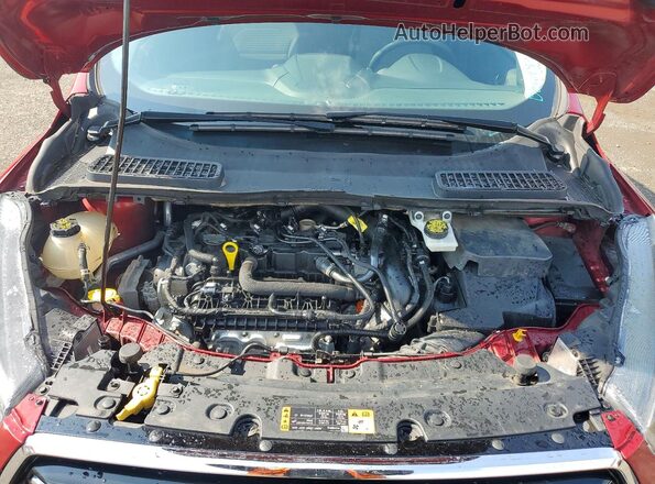 1FMCU9GD4KUC43509 2019 FORD ESCAPE Бордовый Вид наклейки с VIN-кодом