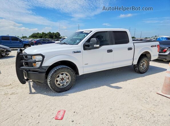 1FTEW1EG4HKE40562 2017 FORD F150 White უკანა მარცხენა