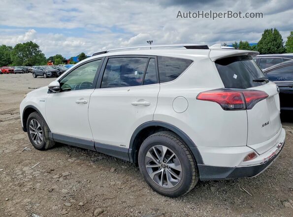JTMRJREV2GD033095 2016 TOYOTA RAV4 White Trasero derecho