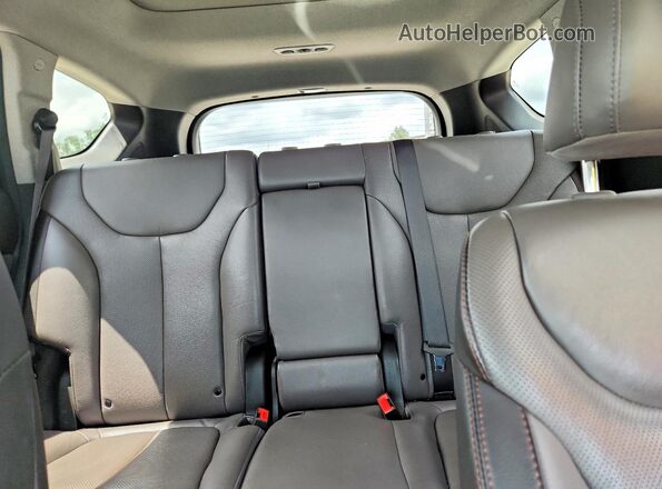 5NMS53AA9LH248917 2020 HYUNDAI SANTA Черный Вид задней части салона