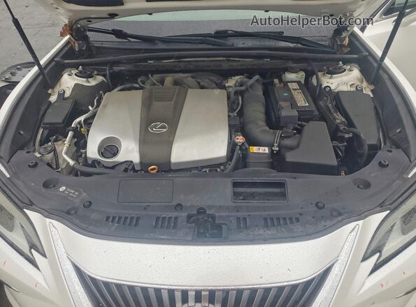 58ABZ1B11KU034474 2019 LEXUS ES Белый Вид задней части салона