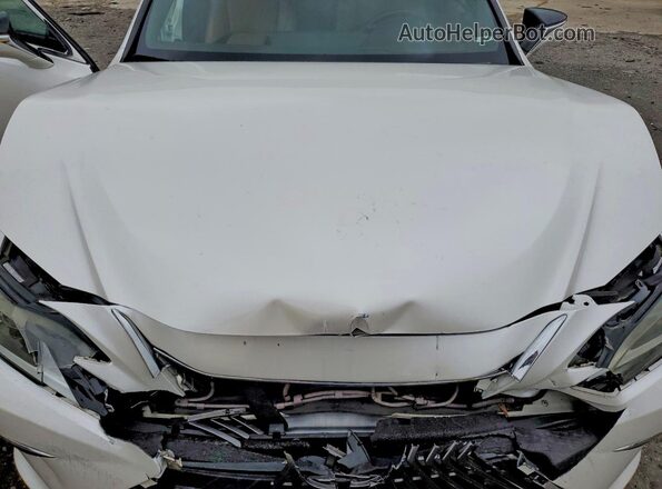 58ABZ1B15KU040522 2019 LEXUS ES White Rear interior view