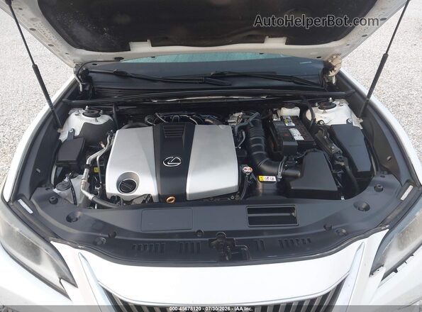 58ABZ1B16KU010753 2019 LEXUS ES 350 Белый Вид сзади