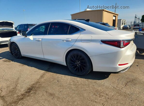 58ABZ1B17KU027609 2019 LEXUS ES White Հետևի ձախ