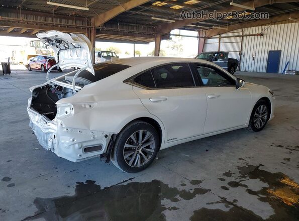 58ACA1C13MU007368 2021 LEXUS ES Белый Задняя правая четверть