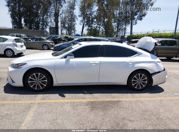 58ACZ1B10RU160551 2024 LEXUS ES 350 White Widok wnętrza 360 stopni