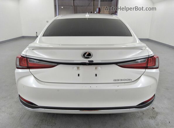 58ADA1C10SU063155 2025 LEXUS ES Белый Вид сзади