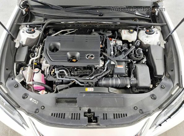 58ADA1C10SU063155 2025 LEXUS ES Белый Вид задней части салона