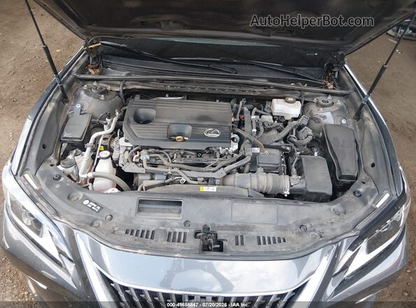 58ADA1C11NU025518 2022 LEXUS ES 300H Gray Հետևի տեսք