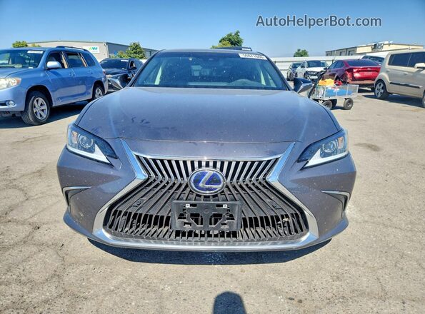 58ADA1C17MU008091 2021 LEXUS ES Gray Вид спереду