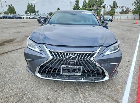 58ADA1C18PU029407 2023 LEXUS ES Charcoal Widok z przodu