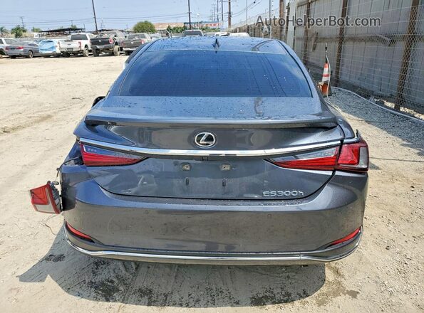 58ADA1C18RU053192 2024 LEXUS ES Gray Вид ззаду
