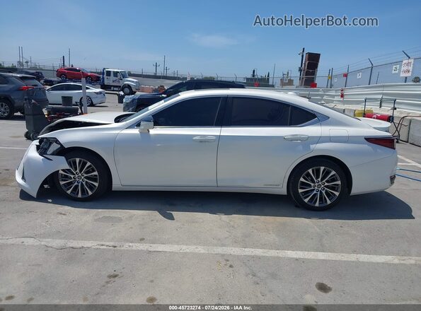 58ADA1C19MU008478 2021 LEXUS ES 300H White 