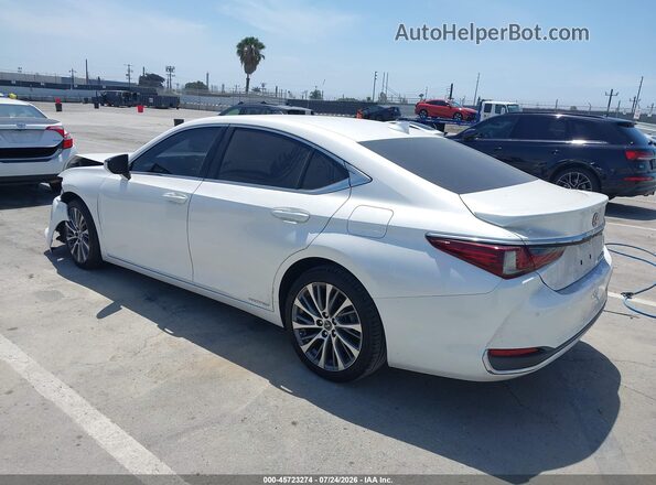 58ADA1C19MU008478 2021 LEXUS ES 300H White Հետևի ձախ