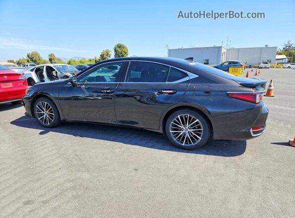 58ADA1C19RU038605 2024 LEXUS ES Charcoal უკანა მარცხენა