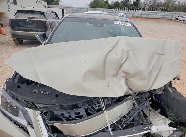 58ADZ1B11SU190880 2025 LEXUS ES Beige Widok wnętrza z tyłu