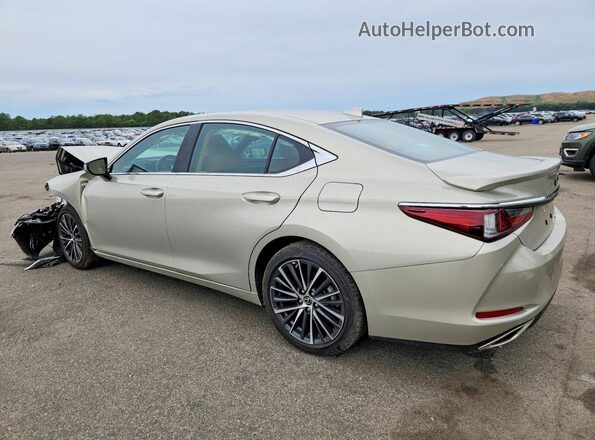 58ADZ1B19SU211507 2025 LEXUS ES Beige Tył lewy