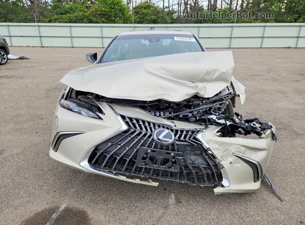 58ADZ1B19SU211507 2025 LEXUS ES Beige Widok z przodu