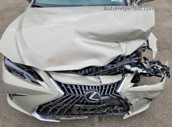 58ADZ1B19SU211507 2025 LEXUS ES Beige Widok wnętrza z tyłu