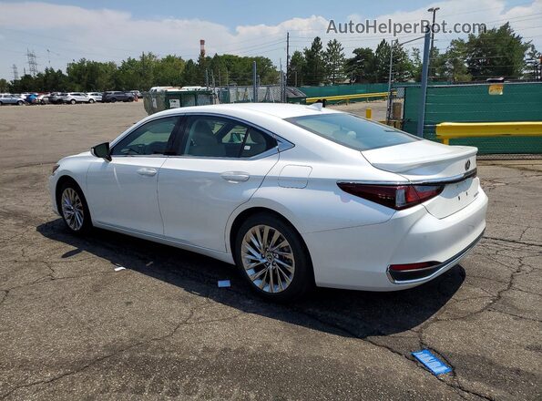58AEA1C13PU035586 2023 LEXUS ES Белый Задняя левая четверть