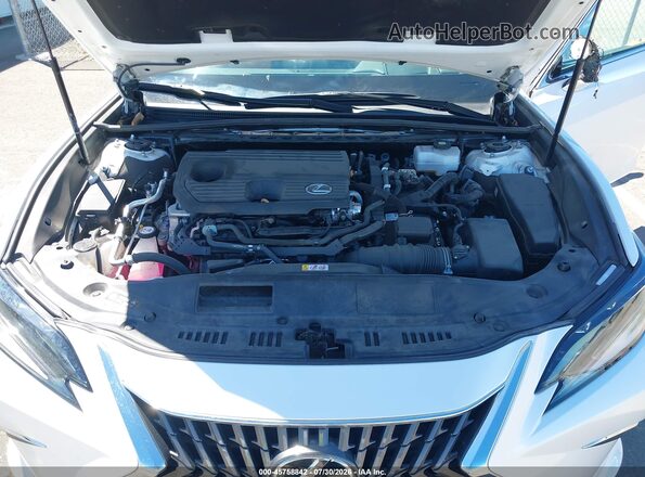 58AEA1C15PU033340 2023 LEXUS ES 300H White Հետևի տեսք