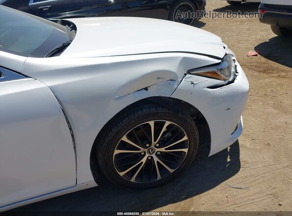 58AEA1C16SU069563 2025 LEXUS ES Белый 