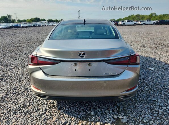 58AEZ1B13LU065613 2020 LEXUS ES Gray Widok z tyłu
