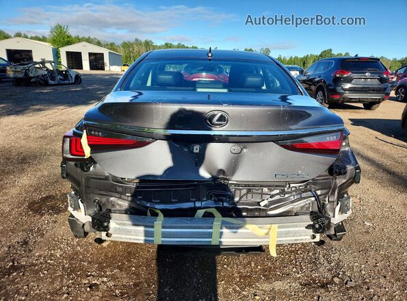 58AFZ1B15RU162115 2024 LEXUS ES Серый Вид сзади