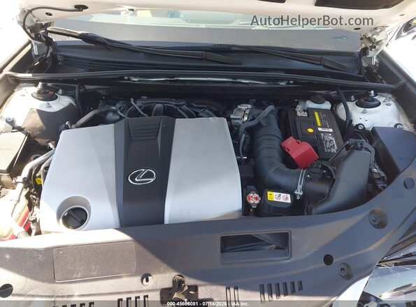 58AFZ1B17PU148407 2023 LEXUS ES 350 White Вид ззаду