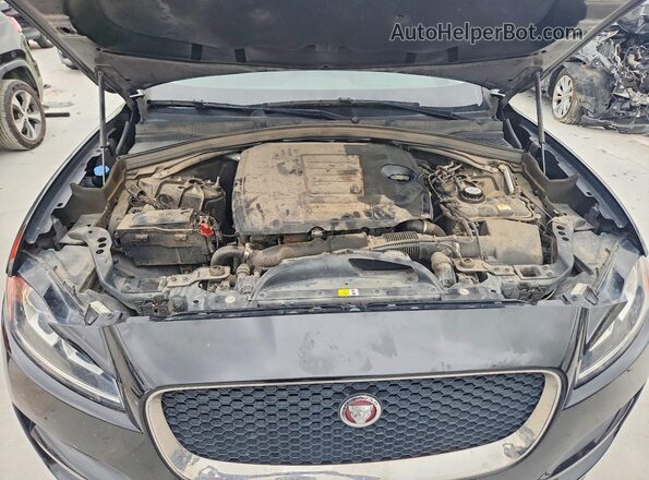 SADCJ2FX7KA399081 2019 JAGUAR F-PACE Black Widok naklejki z numerem VIN