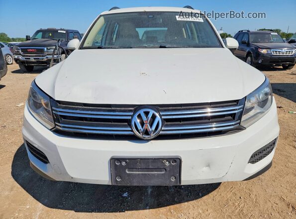 WVGBV7AXXHW510908 2017 VOLKSWAGEN TIGUAN Белый Вид сзади