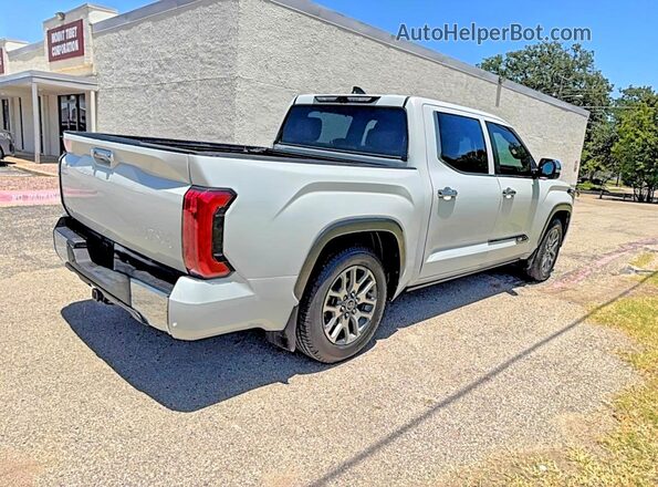 5TFMA5DB1SX239431 2025 TOYOTA TUNDRA White Widok z przodu