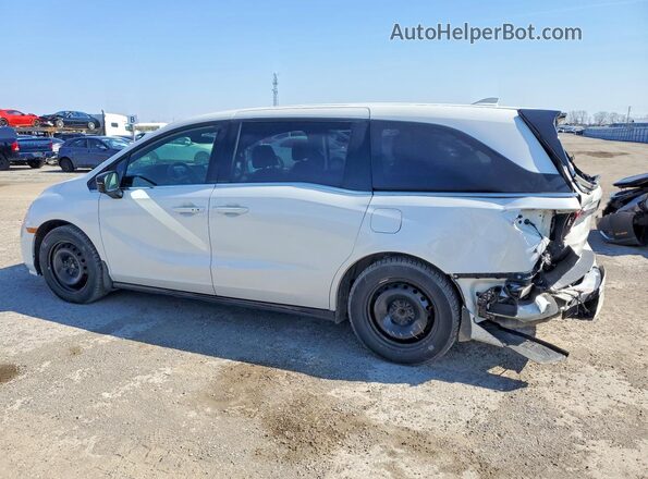 5FNRL6H09PB503110 2023 HONDA ODYSSEY White Tył lewy