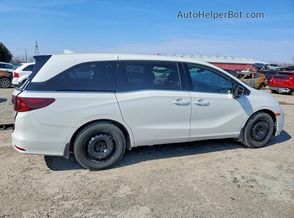 5FNRL6H09PB503110 2023 HONDA ODYSSEY White Tył prawy