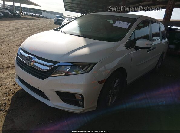 5FNRL6H51KB084917 2019 HONDA ODYSSEY Белый Передняя левая четверть