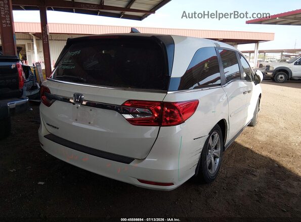5FNRL6H51KB084917 2019 HONDA ODYSSEY Белый Задняя правая четверть
