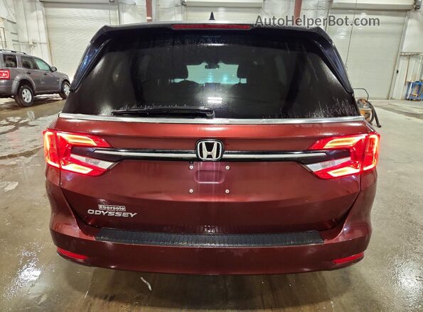 5FNRL6H52MB021330 2021 HONDA ODYSSEY Maroon Rear view